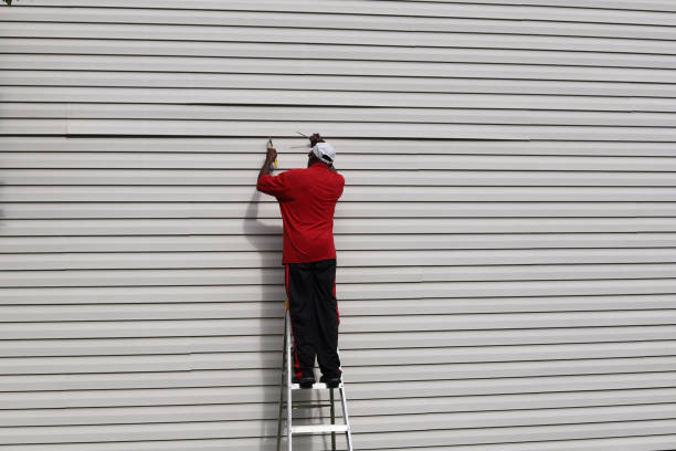 Best Stucco Siding  in Marshalltown, IA