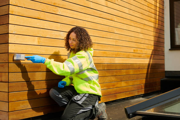 Best Siding Painting and Refinishing  in Marshalltown, IA