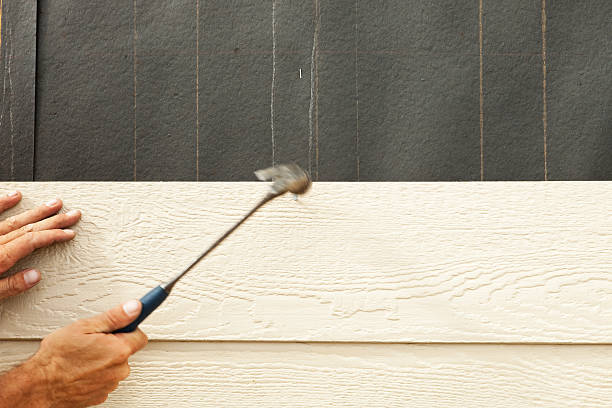 Best Engineered Wood Siding  in Marshalltown, IA